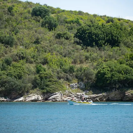 Villa Vilelmina Agnítsini